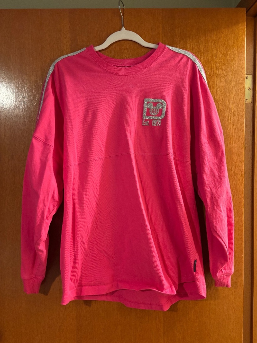 Disneyworld Spirit Jersey